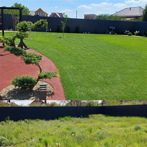 Стрижка газона в Белгороде от "Газонза"