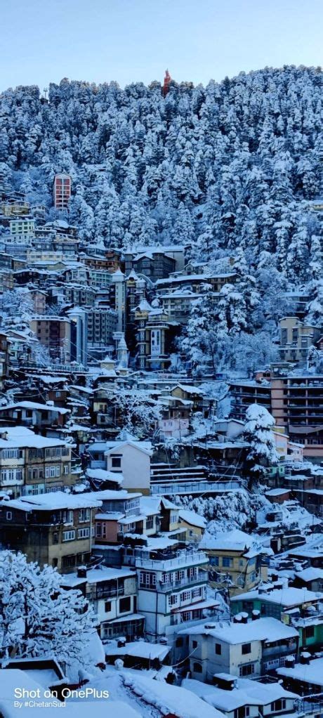 Free photo : Heavy snowfall thaws frozen memories of Simla