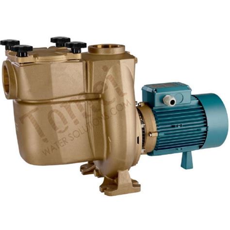 Sea Water Pump With Prefilter Basket Calpeda Bnmp S A For Pool Ph