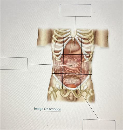 Solved Label the parts | Chegg.com 