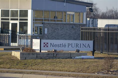 Nestle Purina Poised To Grow Again News Sports Jobs Messenger News