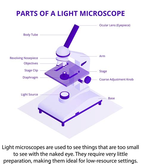 parts of a light microscope – NLM Musings from the Mezzanine