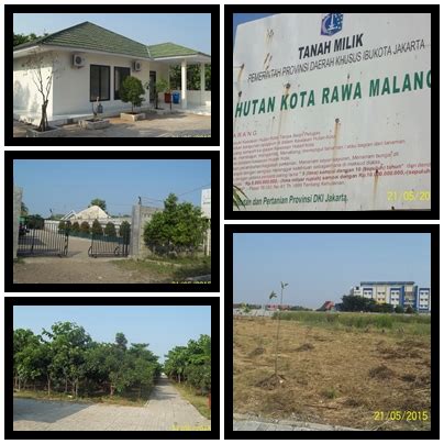 Hutan Kota Dki Jakarta Hutan Kota Rawa Malang