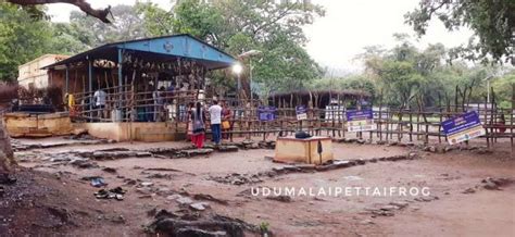 Elumalaiyan Temple Manupatti Udumalai Frog