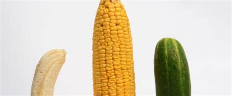 Dildo Vs Vibrator Redeeming Womens Favorite Historical Sex Toys