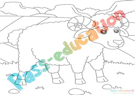 Coloriage mouton gratuit dessins à imprimer et colorier pour enfants