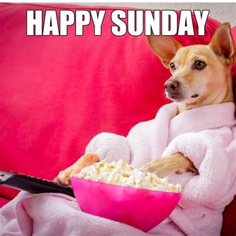 15 Funny Sunday Memes To Make You Laugh on Sundae