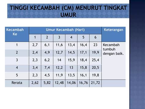 Pengamatan Pertumbuhan Kecambah Kacang Hijau Ppt