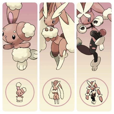 Lopunny | Pokémon Amino