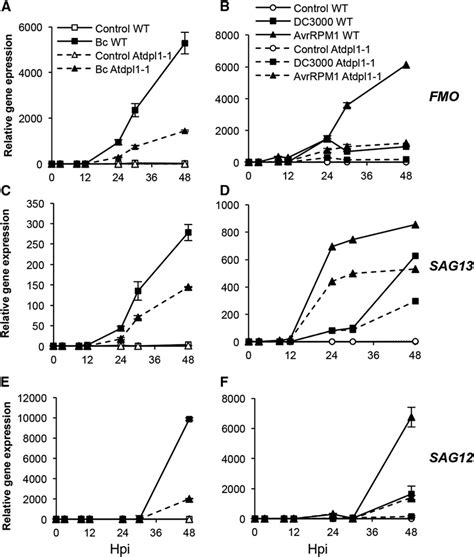 Time Course Of Pcd Marker Gene Expression After B Cinerea Or Pst