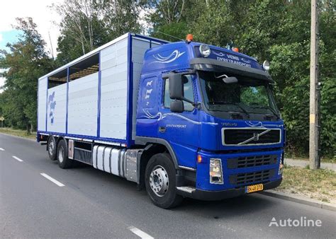 VOLVO FM 440 DO BYDLA ZYWCA livestock truck for sale Poland Piotrków