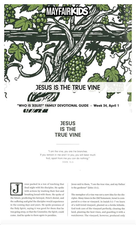 jesus   true vine