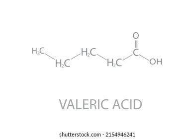 Valeric Acid Molecular Skeletal Chemical Formula Stock Vector (Royalty ...