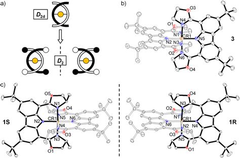 Circularly Polarized Near Infrared Phosphorescence Of Chiral Chromium