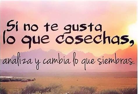 Imágenes hermosas con frases positivas para reflexionar y compartir