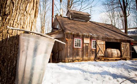 5 sugar shacks to try this year Communauto Québec