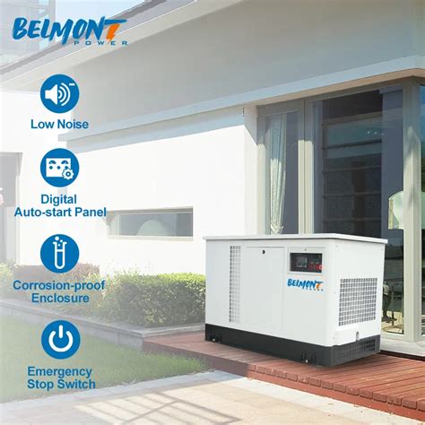 5 5kw 6kw 230v 400v 20kw 22kw 23kw 300kva Powered Inverter Lpg Generator 10kw Electric Home