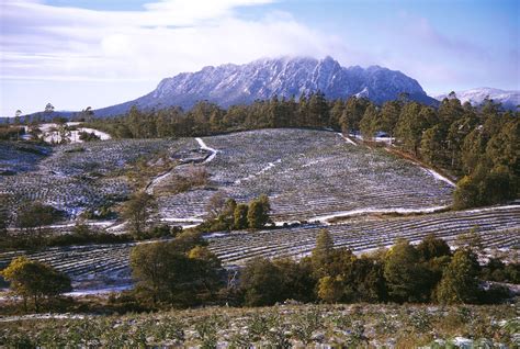 Winter in Australia