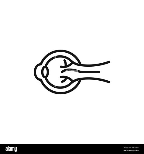 Eye Organ Icon Logo Sign Vector Outline In Black And White Color Stock Vector Image And Art Alamy