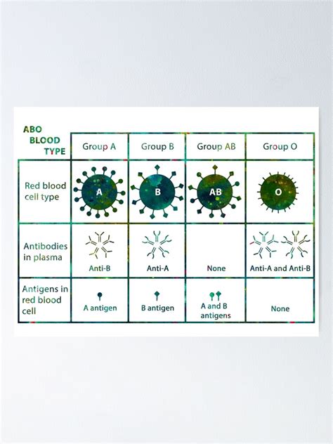 "ABO Blood Type Chart" Poster by EvasDreams | Redbubble