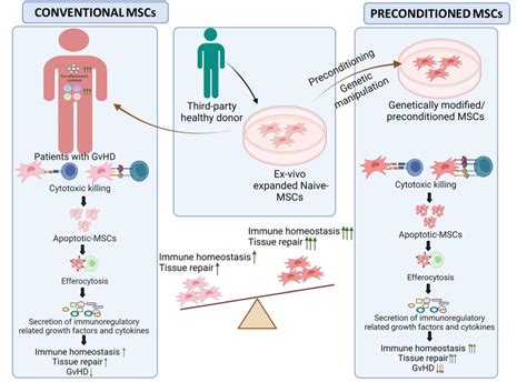 Employing Mesenchymal Stromal Cells Msc For Managing Acute And