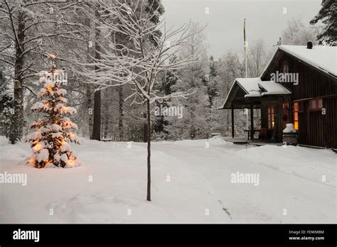 Outdoor Christmas tree, Sweden Stock Photo - Alamy