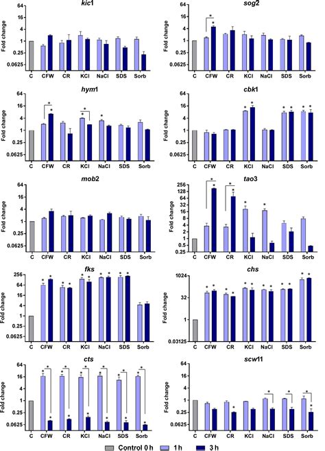 Frontiers Global Analysis Of Cell Wall Genes Revealed Putative