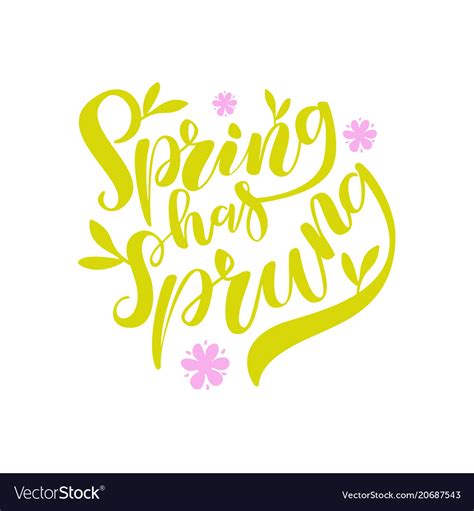 Spring Has Sprung Brush Lettering Royalty Free Vector Image