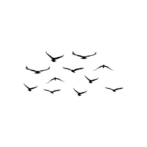 Group Of Birds White Transparent, Group Of Flying Birds, Flying Birds ...