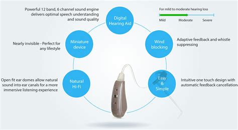 Parts Of A Hearing Aid Diagram