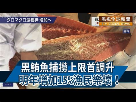 【民視全球新聞】黑鮪魚捕撈上限首調升 明年增加15漁民樂壞！ 20211212 民視新聞網