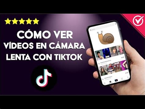 C Mo Poner O Ver Un V Deo De Tiktok En C Mara Lenta Herramientas De