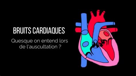 Bruits Cardiaques Qu Est Ce Qu On Entend Lors De Lauscultation