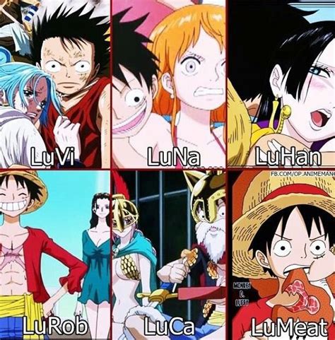 Todas As Pessoas Que Todo Mundo Shippa O Luffy One Piece Brasil