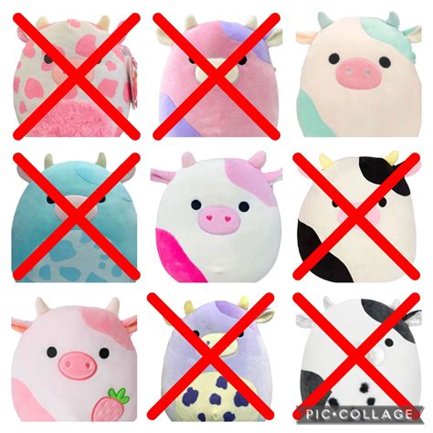 Does anyone know the names of these two? They were a surprise from my