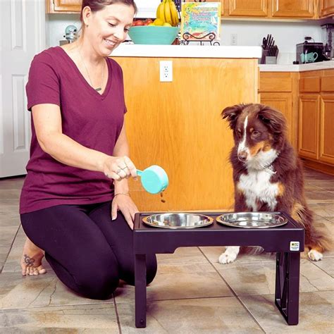 9 Elevated Dog Bowls for Large Dogs: Dinner Time Upgraded!