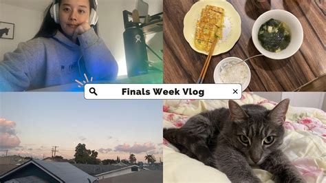 Finals Week Vlog Youtube