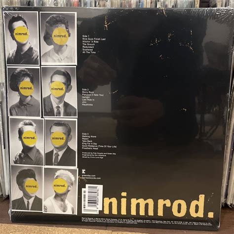 Yahoo オークション Green Daynimrod LPレコード グリーンデイ