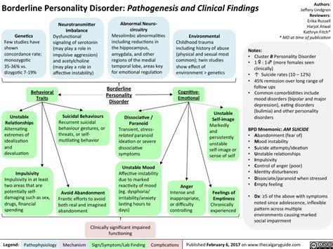 Borderline Personality Disorder Pathogenesis And Clinical Findings