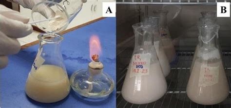 Coq10 Hergestellt Durch Hefefermentation