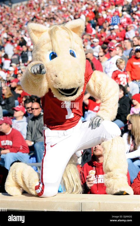 Oklahoma sooners mascot hi-res stock photography and images - Alamy