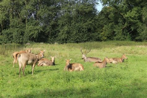 Juni Natuurreis Met Een Tropisch Tintje Vol Vrienden Van