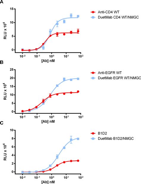 Effect Of Bivalent Vs Monovalent Antigen Binding On Adcc Activity A