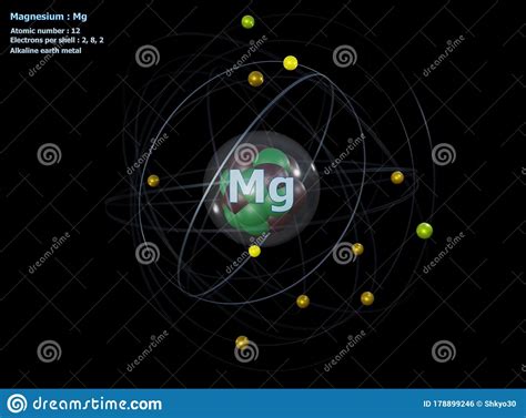 Magnesium Atom Bohr Model Cartoon Vector | CartoonDealer.com #267662111