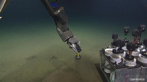 Underwater Robots Are Helping To Save The Seas Oceana Canada