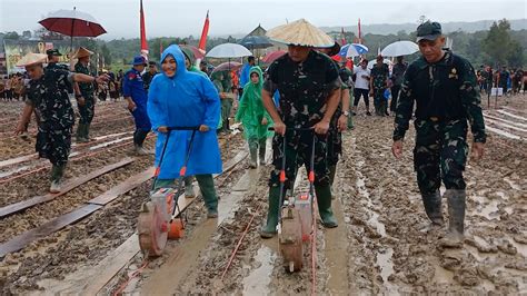 KASAD Jenderal Maruli Tinjau Lokasi Ketahanan Pangan Di Kendari