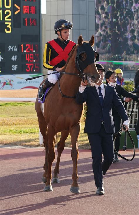 皐月賞馬ジオグリフは2・25中山記念を目標、再び芝路線へ クラブ発表 競馬 日刊スポーツ