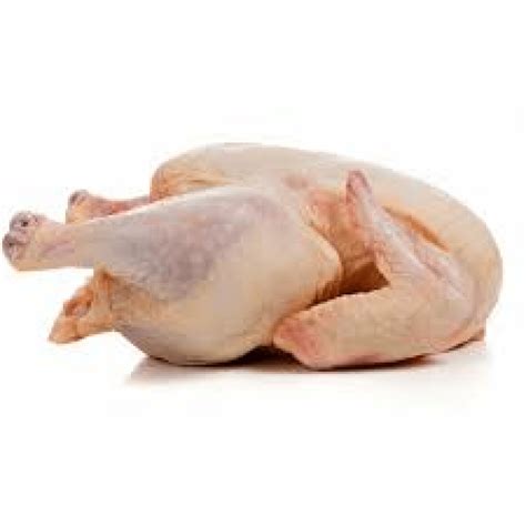 Poulet de chair - Bio TOGO