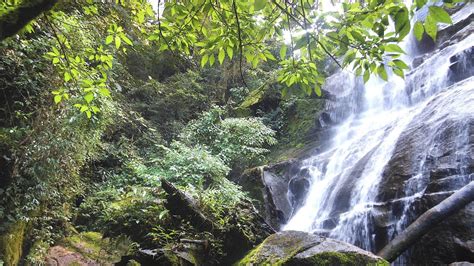 Cachoeira Do Afluente Do Rio Cotia Antonina PR YouTube