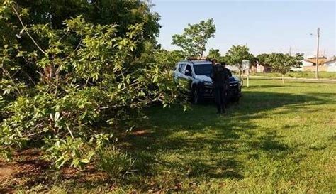 ferimento na cabeça homem é encontrado morto embaixo de árvore